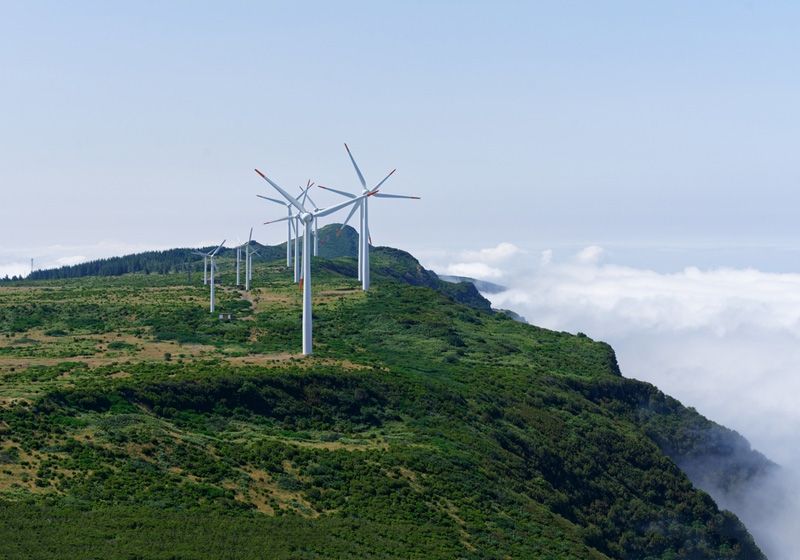 風(fēng)力發(fā)電機(jī)的葉片有多長？