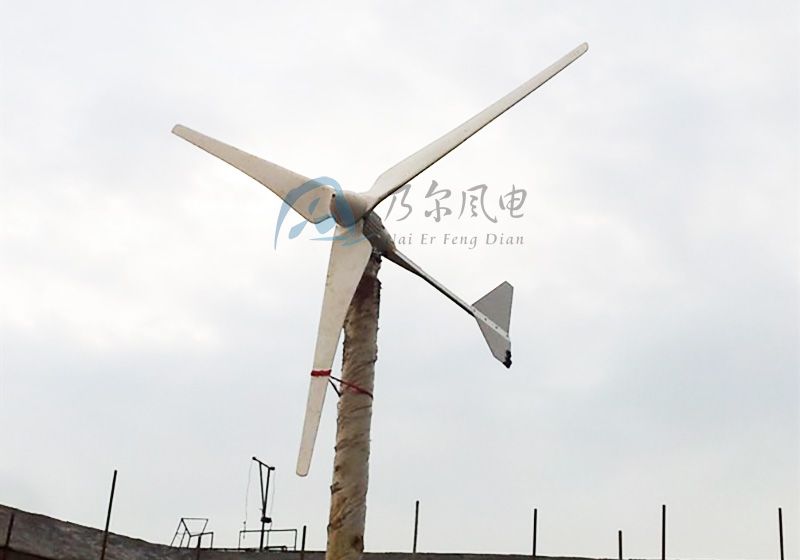 67a568cad8f0b.jpg 0.jpg
